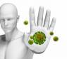 Herbalife: La Alimentación y el sistema inmunitario